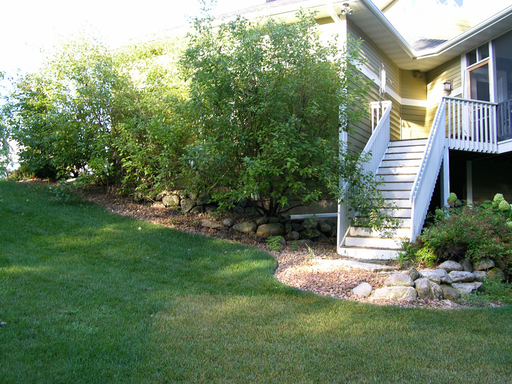 The overgrown and under utilized yard.